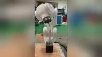 Shenzhen Mingqi Robot Roboter-Pick-and-Place-Roboterarm, mechanischer Palettierer